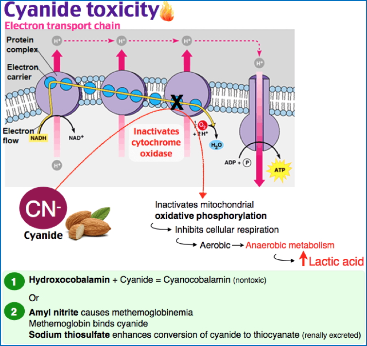 Cell Injury and Death - Chemical Injury