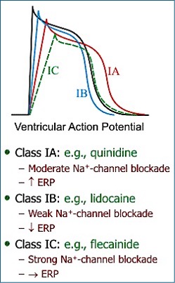 Class 1abc antiarrhythmic drugs
