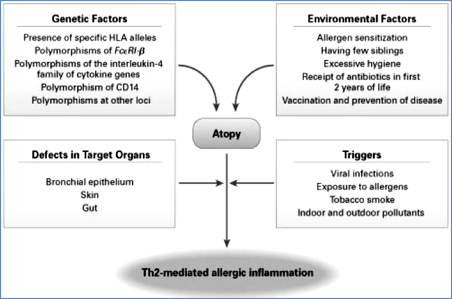 Determinants of Allergic Diseases