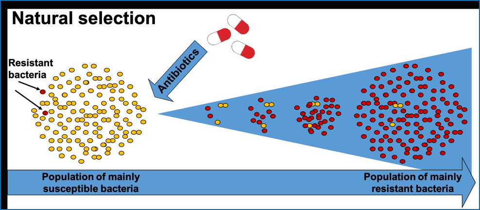 environmental genetics: Eg- Antibiotic Resistance
