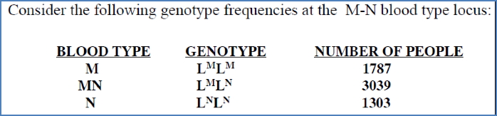 Eg- HWE Demonstration