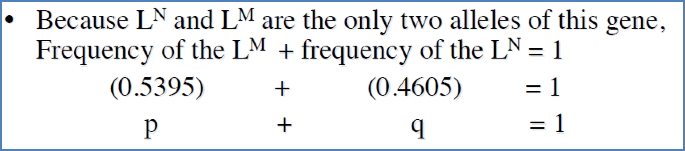 Eg- HWE Demonstration