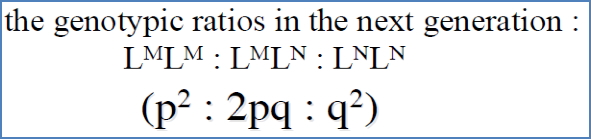 Eg- HWE Demonstration