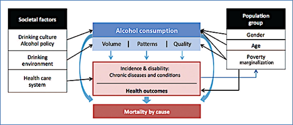 chronic disease risk factors: Excessive Alcohol
