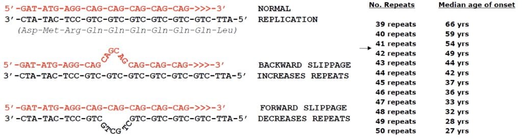 Huntington's Disease