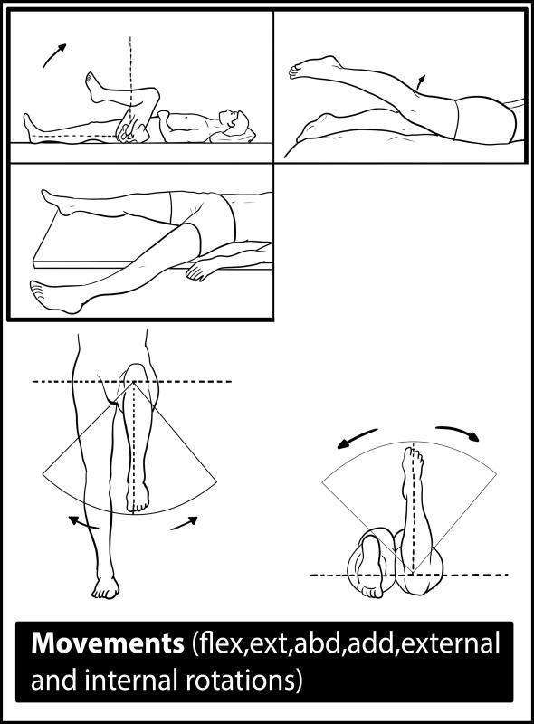 Hip range of movement