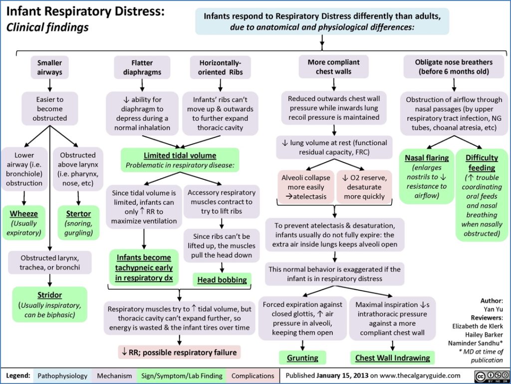 INFANT RESPIRATORY DISTRESS