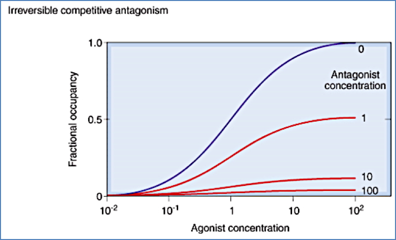 pharmacodynamics: Irreversible (Non-Equilibrium) Competitive Antagonists
