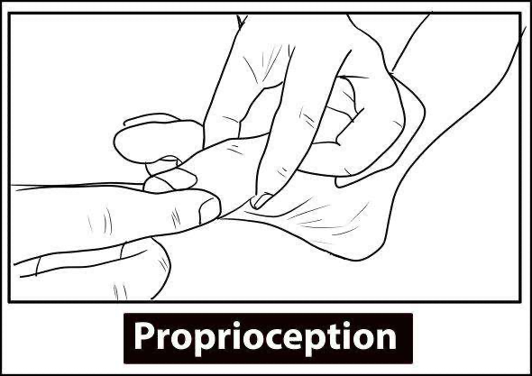 Lower Limb Neurological Examination - Proprioception
