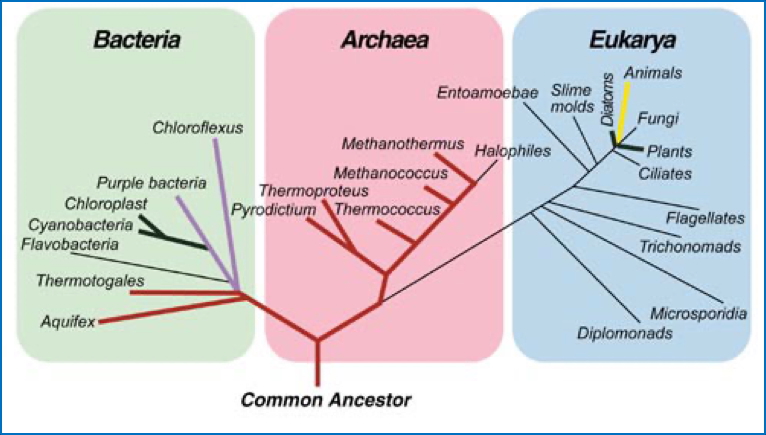 environmental genetics: Mapping Evolution
