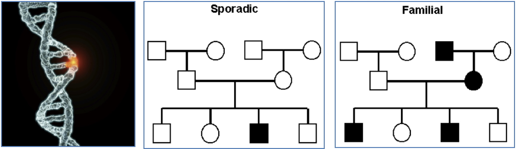 Cancer is a Genetic Disease at its Fundamental Level