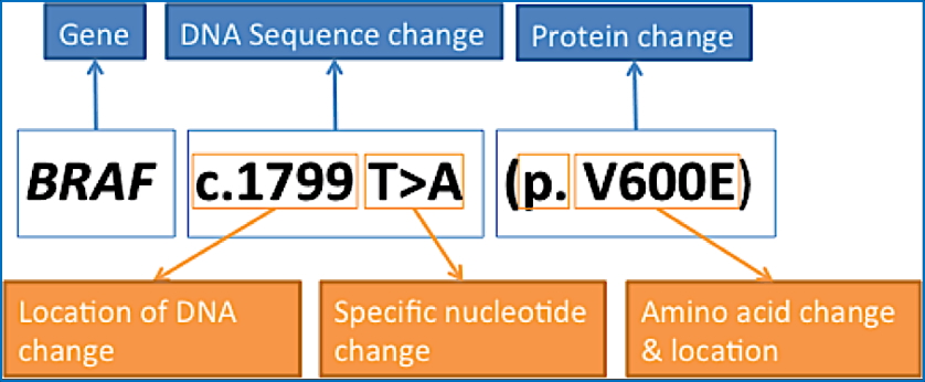 Nomenclature for Mutations