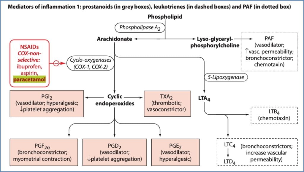 Non-Steroidal Anti-Inflammatory Analgesics