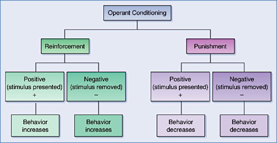 Operant (‘Instrumental’) Conditioning