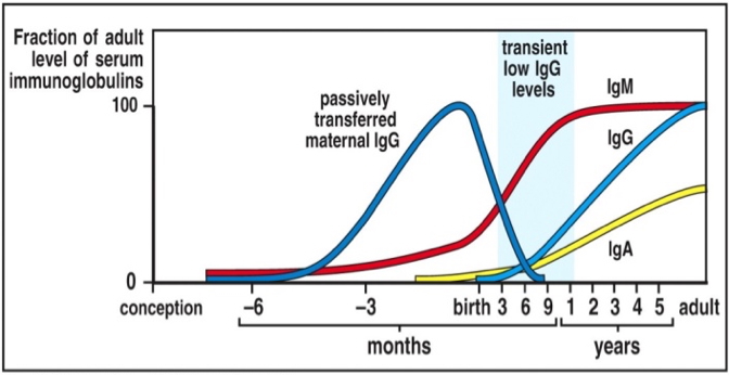 PID – Primary Immunodeficiency