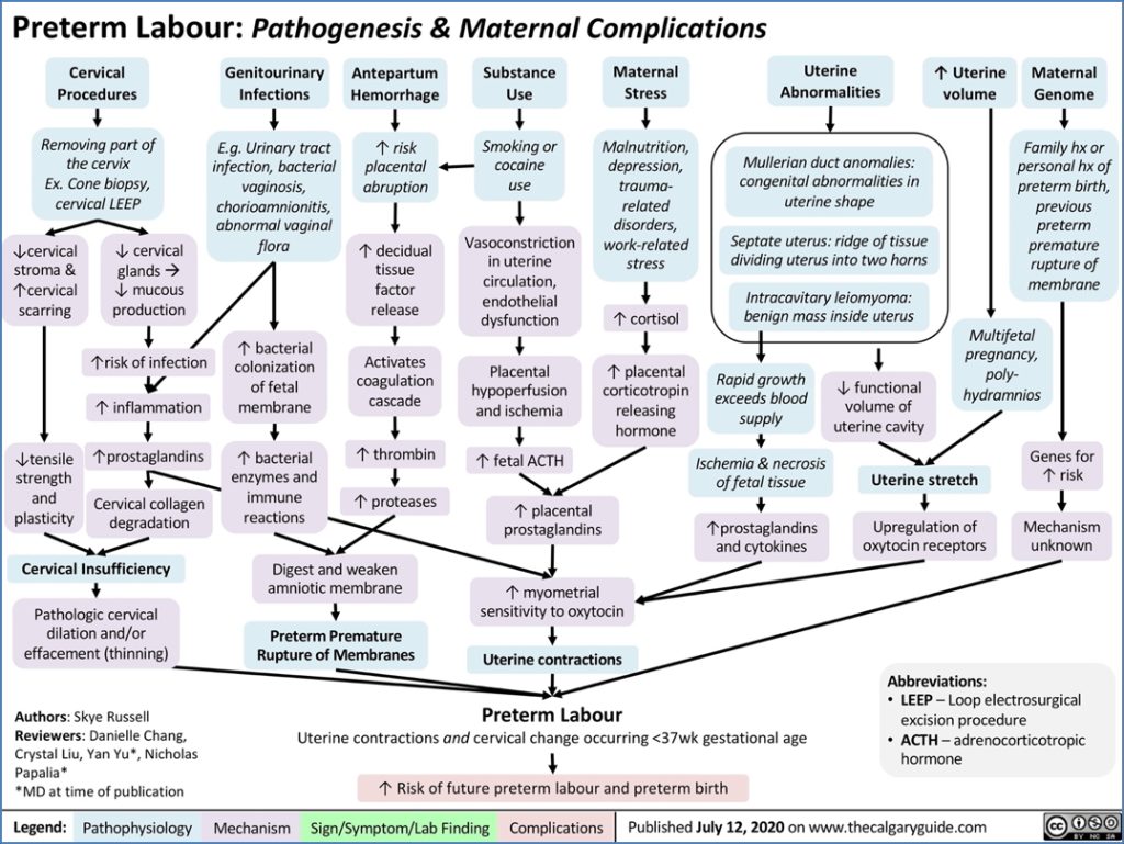 PRETERM LABOUR