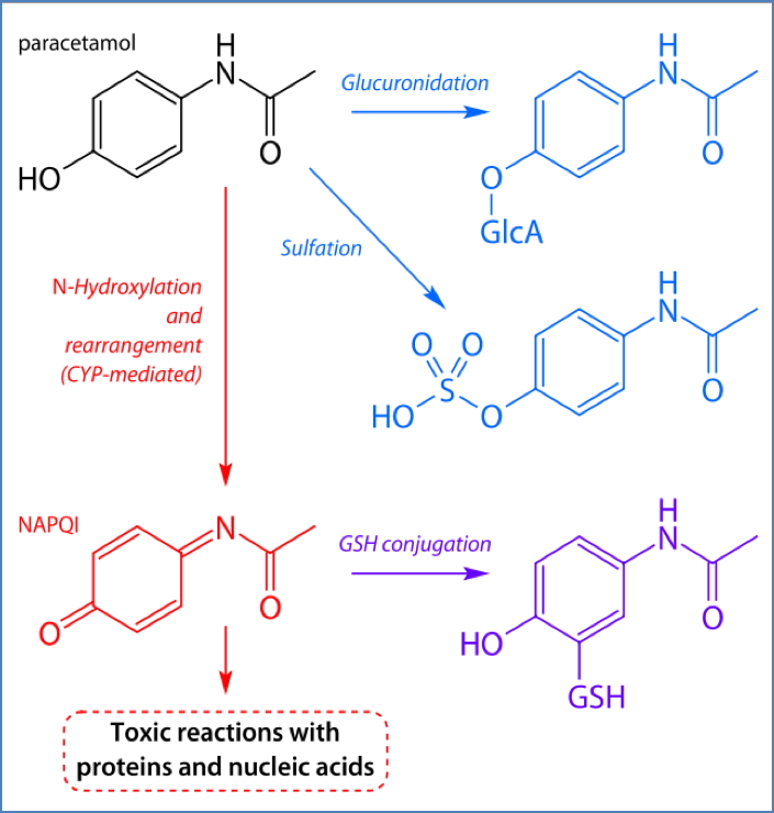 Paracetamol Poisoning