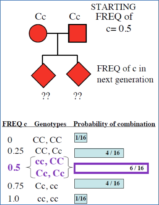 environmental genetics: Population Subdivision