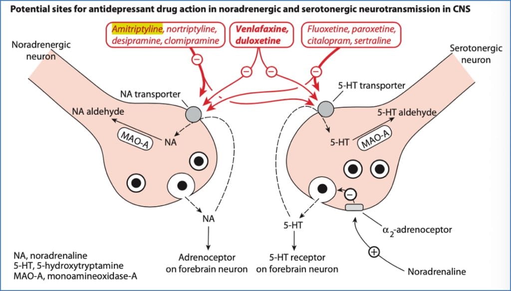 mood stabilising drugs: Possible Antidepressant Drug Targets