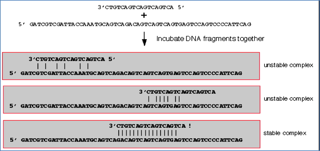 Prevention Better Than Cure