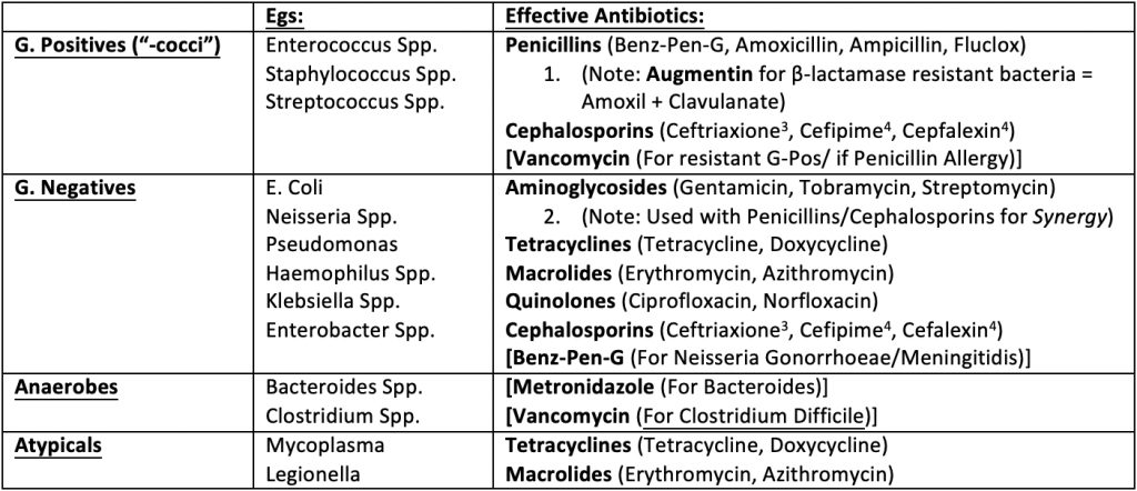 the preoperative assessment: Prophylactic Antibiotics