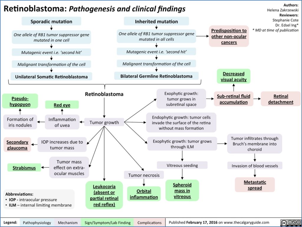 RETINOBLASTOMA