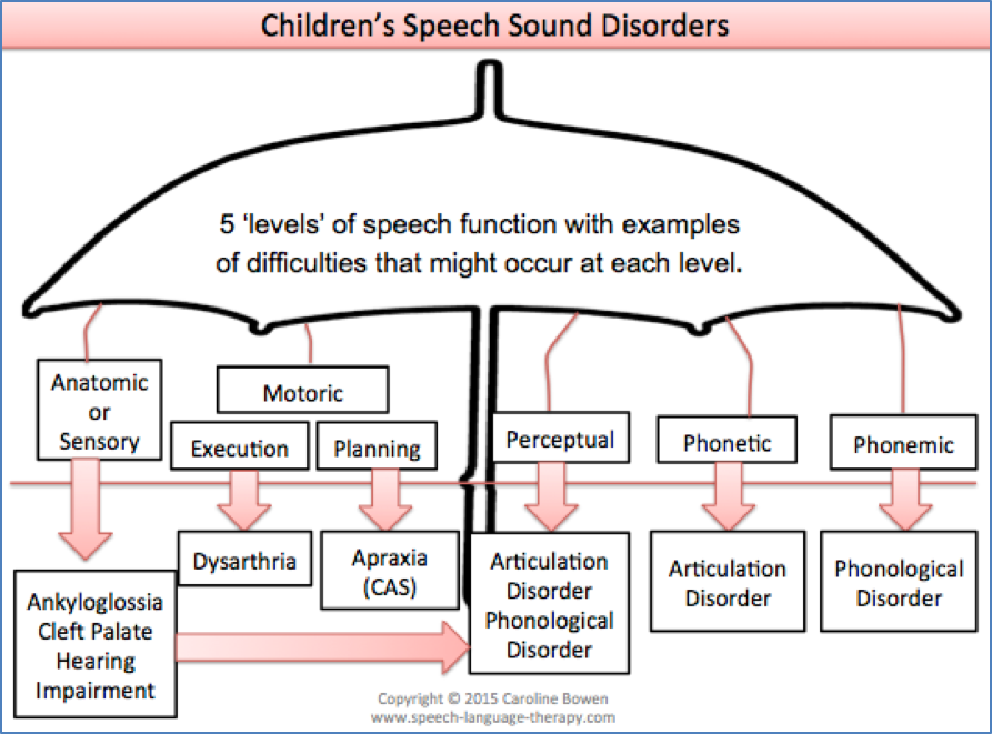 Red Flags in Speech & Language Development