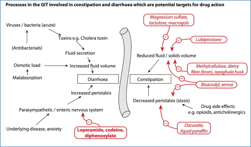 Gastrointestinal drugs: Spasmolytic Agents