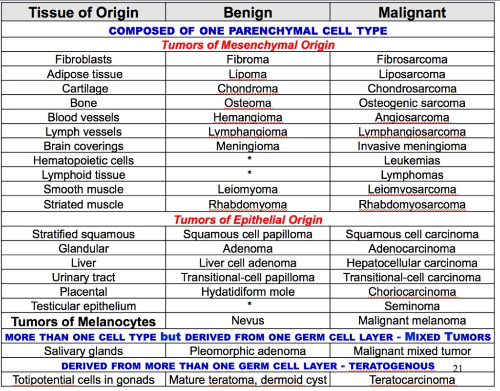 Summary of Differences Between Benign and Malignant Neoplasms