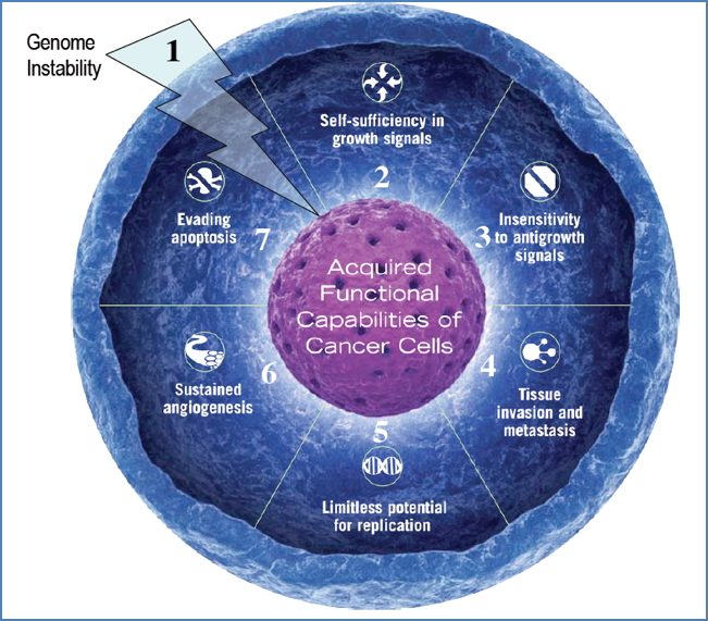 Summary of KEY GENETIC CHANGES in Cancer Cells