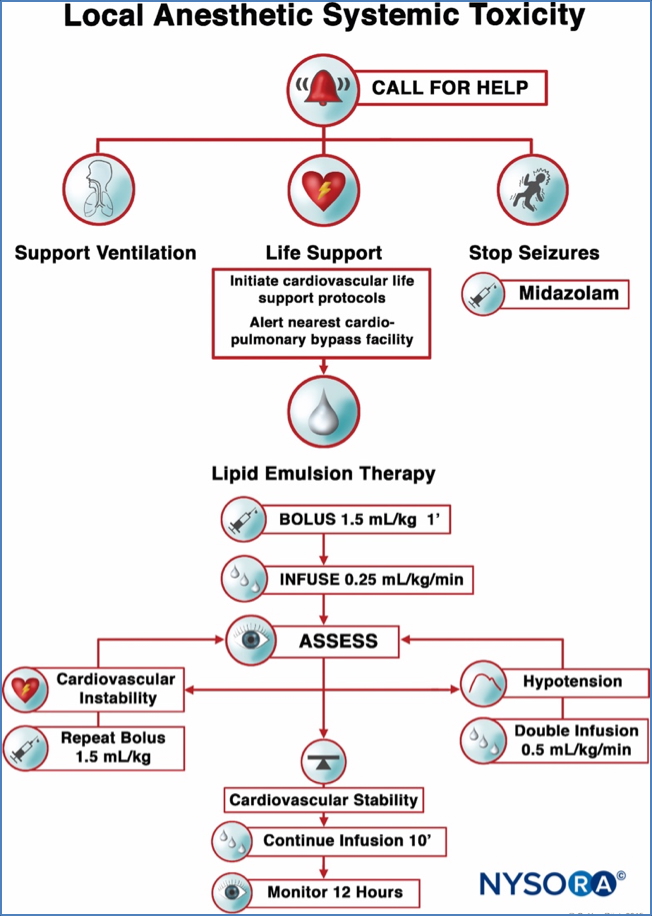 Systemic Side Effects of Local Anaesthetics