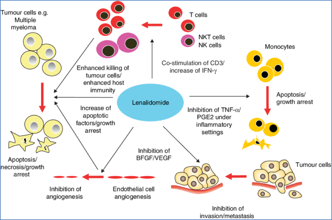 chemotherapy drugs: THALIDOMIDE