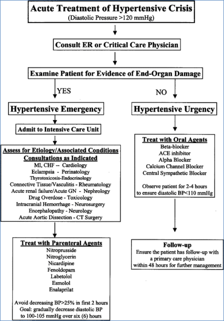 THE EMERGENCY – Acute HYPERTENSION CRISIS