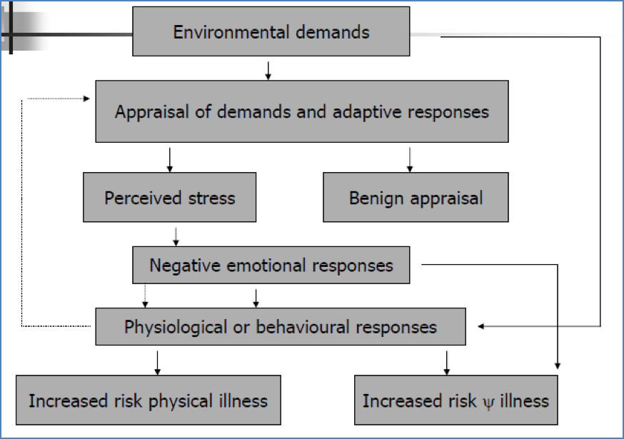 Taylor’s Model of Stress