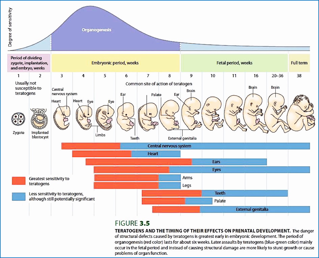 Teratogens