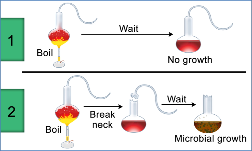 intro to microbiology: The Birth of ‘Germ Theory’