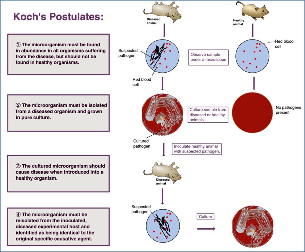intro to microbiology: The Birth of ‘Germ Theory’