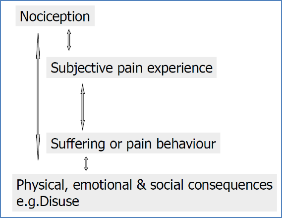 Psychology of Pain: The Cycle of Pain