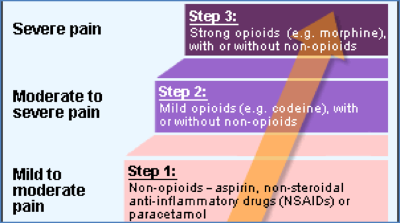 The WHO-Analgesic Ladder