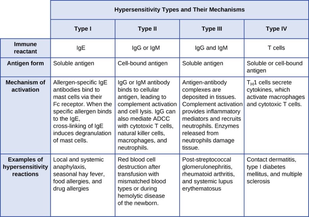 There are 4 Types of Hypersensitivity