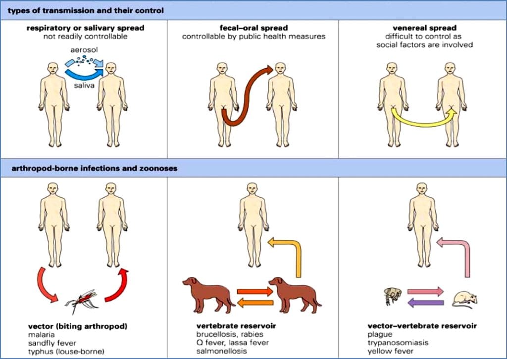 pathogenicity: Transmission