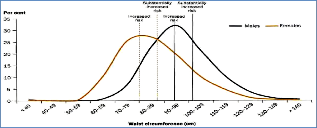 Waist Circumference