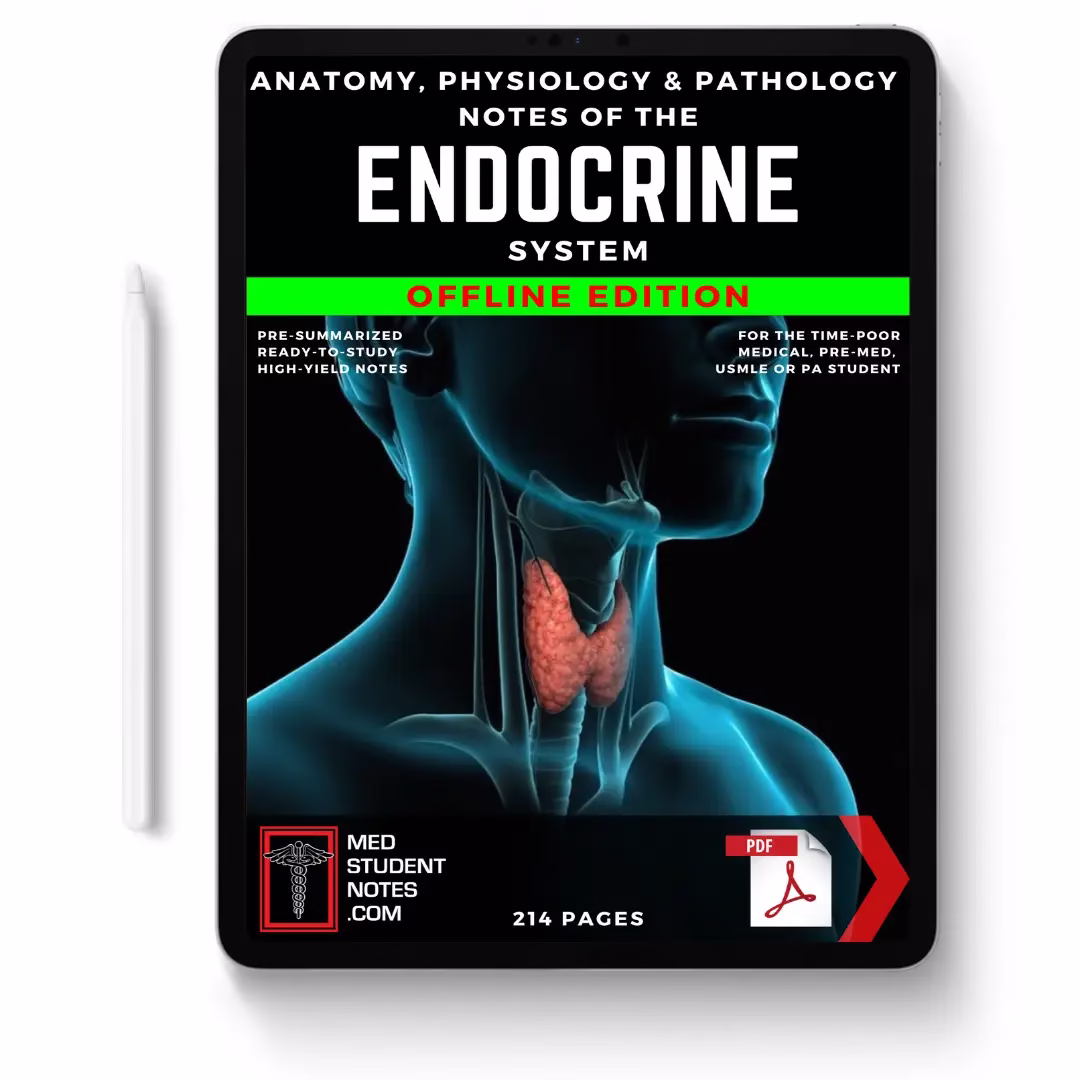 Endocrine