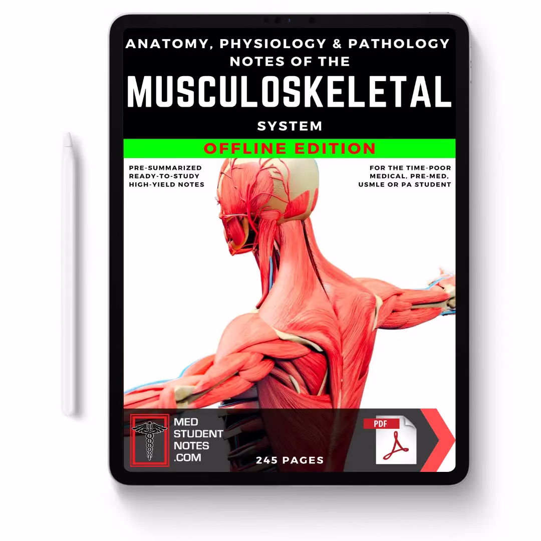 Musculoskeletal
