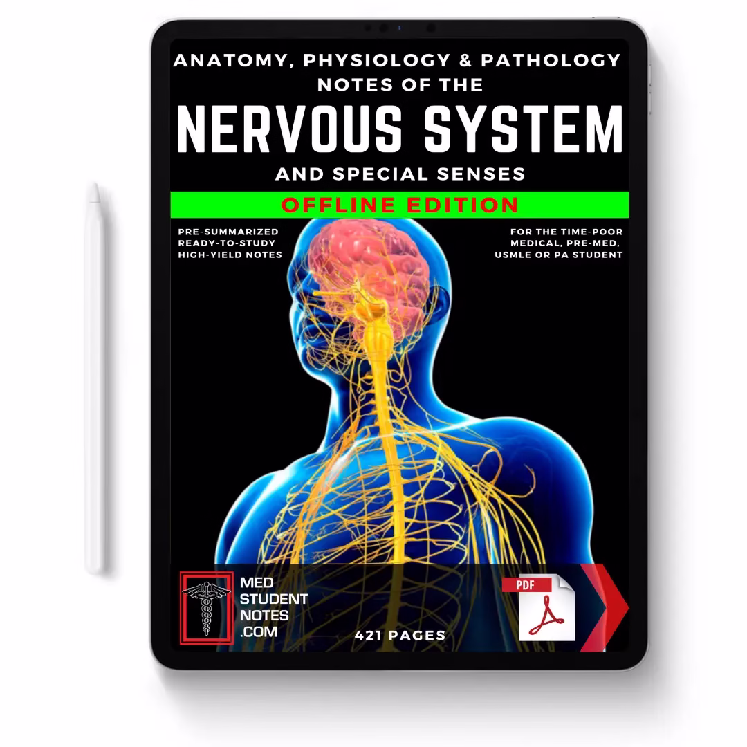 Nervous System