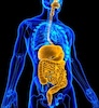 Gastrointestinal 100x100 Gastrointestinal System
